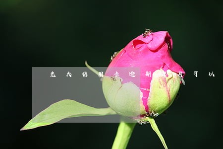 光大信用卡逾期每月可以少还点吗 光大信用卡逾期每月可以少还点吗