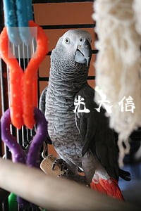光大信用卡逾期派人上门骚扰家人 光大信用卡逾期派人上门骚扰家人