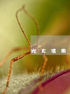 光大信用卡逾期浙江发信息 光大信用卡逾期浙江发信息