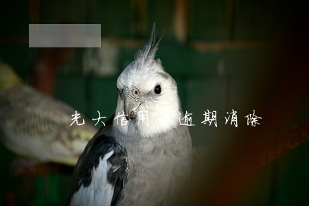 光大信用卡逾期消除 光大信用卡逾期消除