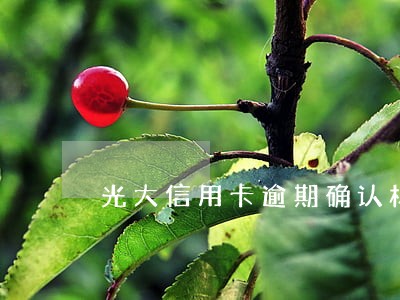 光大信用卡逾期确认材料上报 光大信用卡逾期确认材料上报