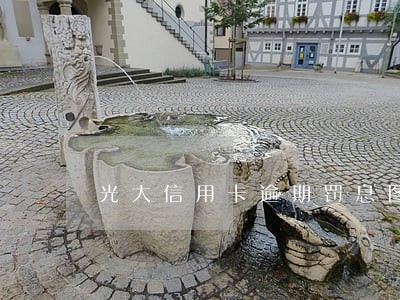 光大信用卡逾期罚息图片 光大信用卡逾期罚息图片