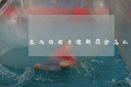 光大信用卡逾期罚金怎么算