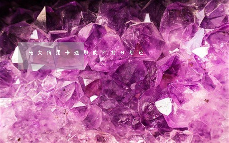 光大信用卡逾期能不能分期还 光大信用卡逾期能不能分期还