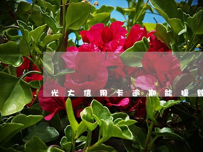 光大信用卡逾期能提额吗 光大信用卡逾期能提额吗