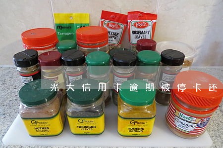 光大信用卡逾期被停卡还能用吗