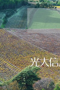 光大信用卡逾期被冻结五年之后 光大信用卡逾期被冻结五年之后