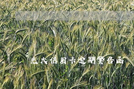 光大信用卡逾期警告函 光大信用卡逾期警告函