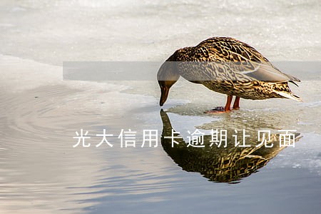 光大信用卡逾期让见面 光大信用卡逾期让见面