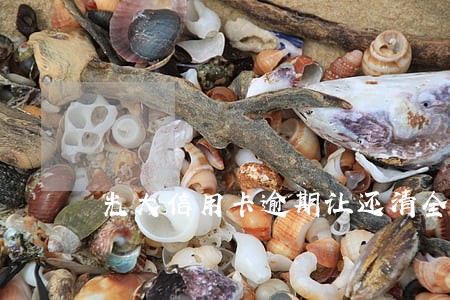 光大信用卡逾期让还清全款 光大信用卡逾期让还清全款