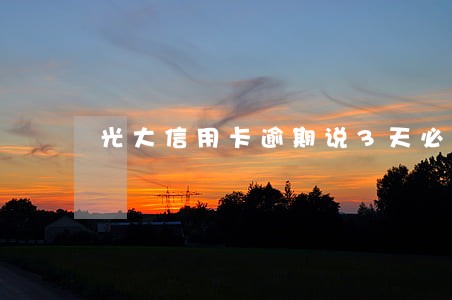 光大信用卡逾期说3天必须还上 光大信用卡逾期说3天必须还上