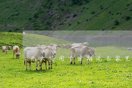 光大信用卡逾期说去家里 光大信用卡逾期说去家里