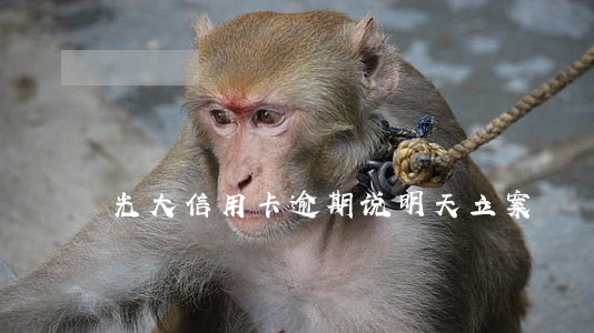 光大信用卡逾期说明天立案 光大信用卡逾期说明天立案