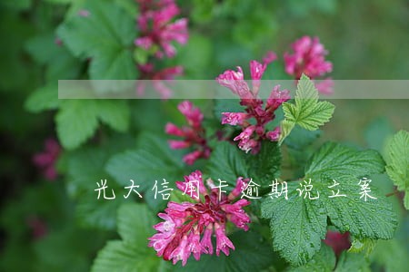 光大信用卡逾期说立案 光大信用卡逾期说立案