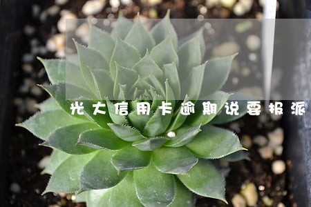 光大信用卡逾期说要报派出所