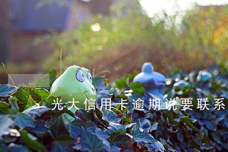 光大信用卡逾期说要联系单位 光大信用卡逾期说要联系单位