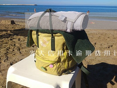 光大信用卡逾期费用计算公式 光大信用卡逾期费用计算公式