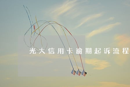 光大信用卡逾期起诉流程