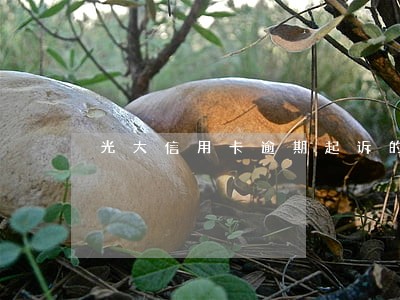光大信用卡逾期起诉的后果 光大信用卡逾期起诉的后果