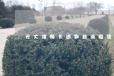 光大信用卡逾期起诉短信