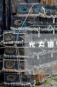 光大信用卡逾期过怎么办 光大信用卡逾期过怎么办