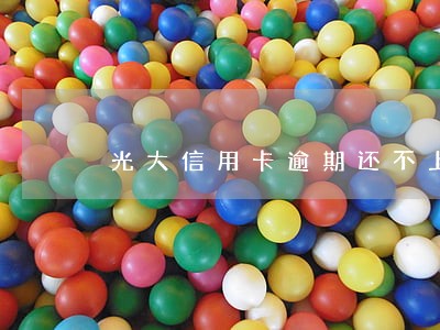 光大信用卡逾期还不上会怎样 光大信用卡逾期还不上会怎样