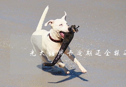 光大信用卡逾期还全额还款