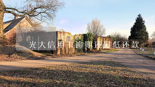 光大信用卡逾期还最低还款 光大信用卡逾期还最低还款