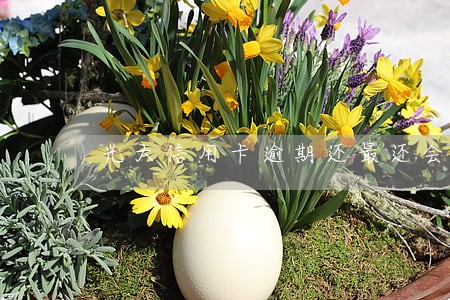 光大信用卡逾期还最还会起诉 光大信用卡逾期还最还会起诉