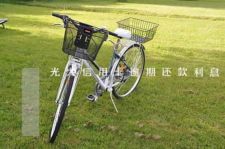 光大信用卡逾期还款利息撤销