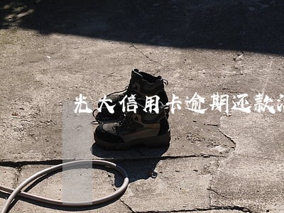 光大信用卡逾期还款没额度了