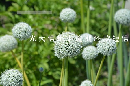 光大信用卡逾期还款短信