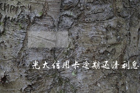 光大信用卡逾期还清利息减免 光大信用卡逾期还清利息减免
