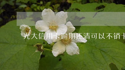 光大信用卡逾期还清可以不销卡吗 光大信用卡逾期还清可以不销卡吗