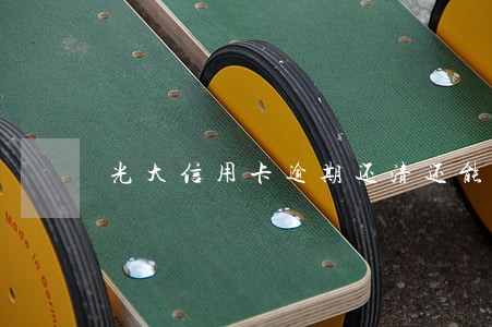 光大信用卡逾期还清还能用吗 光大信用卡逾期还清还能用吗