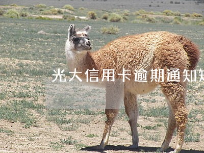 光大信用卡逾期通知短信 光大信用卡逾期通知短信