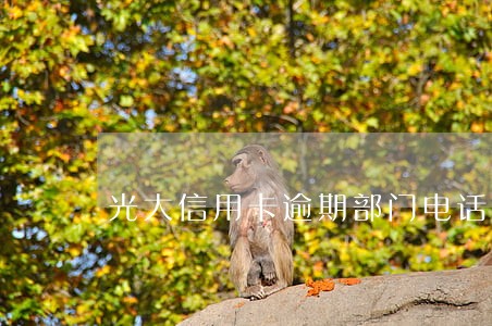 光大信用卡逾期部门电话