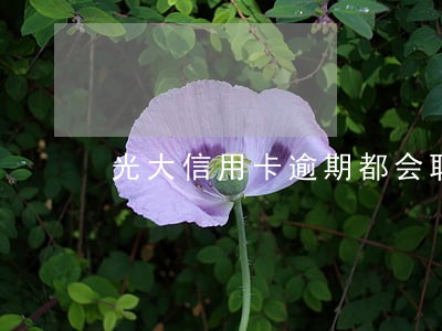 光大信用卡逾期都会联系谁 光大信用卡逾期都会联系谁