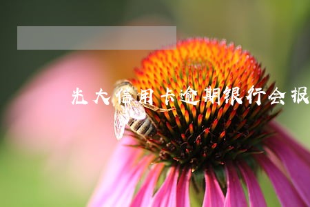 光大信用卡逾期银行会报案 光大信用卡逾期银行会报案
