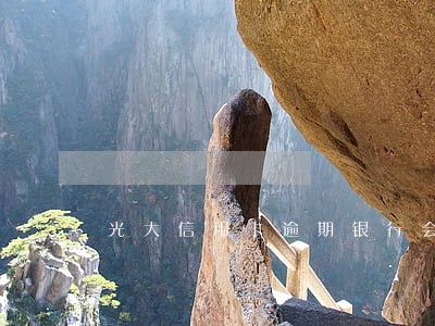 光大信用卡逾期银行会报经侦吗