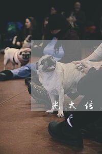 光大信用卡逾期银行帮我存钱分期 光大信用卡逾期银行帮我存钱分期