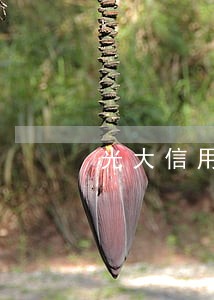 光大信用卡逾期银行电话核实资料 光大信用卡逾期银行电话核实资料