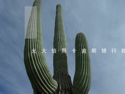 光大信用卡逾期银行锁了