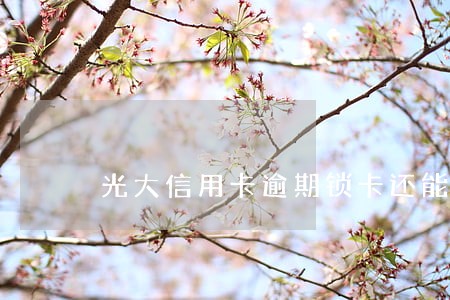 光大信用卡逾期锁卡还能 光大信用卡逾期锁卡还能