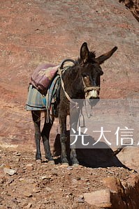 光大信用卡逾期额度归0 光大信用卡逾期额度归0