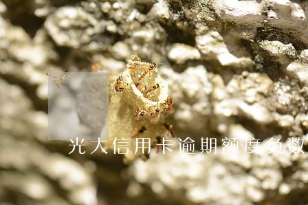 光大信用卡逾期额度负数 光大信用卡逾期额度负数