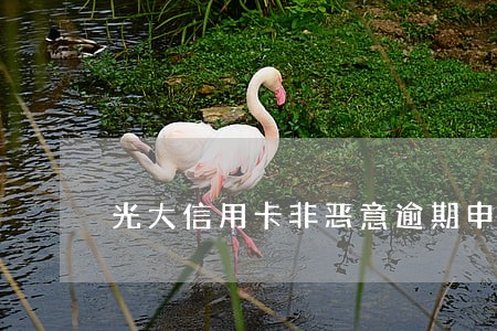光大信用卡非恶意逾期申诉 光大信用卡非恶意逾期申诉