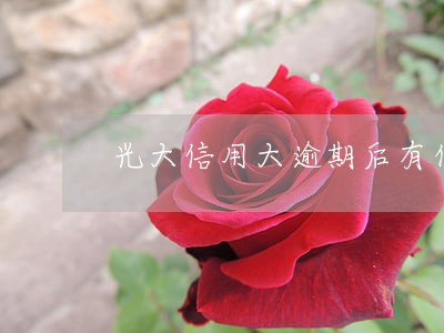 光大信用大逾期后有什么后果 光大信用大逾期后有什么后果