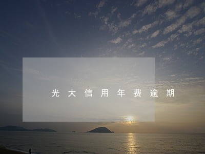 光大信用年费逾期