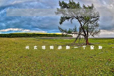 光大信用逾期一个星期 光大信用逾期一个星期